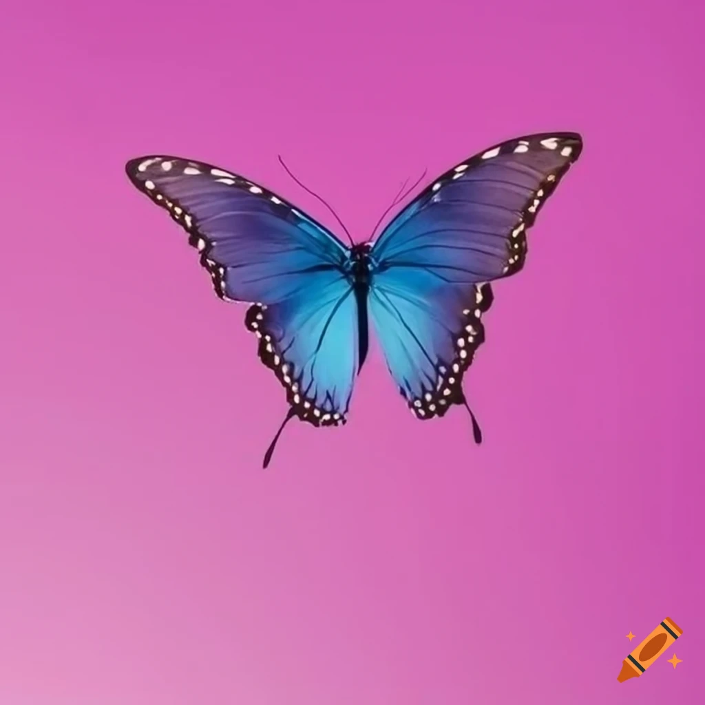 A butterfly, mix of blue and pink colour, minimalistic and aesthetic on ...