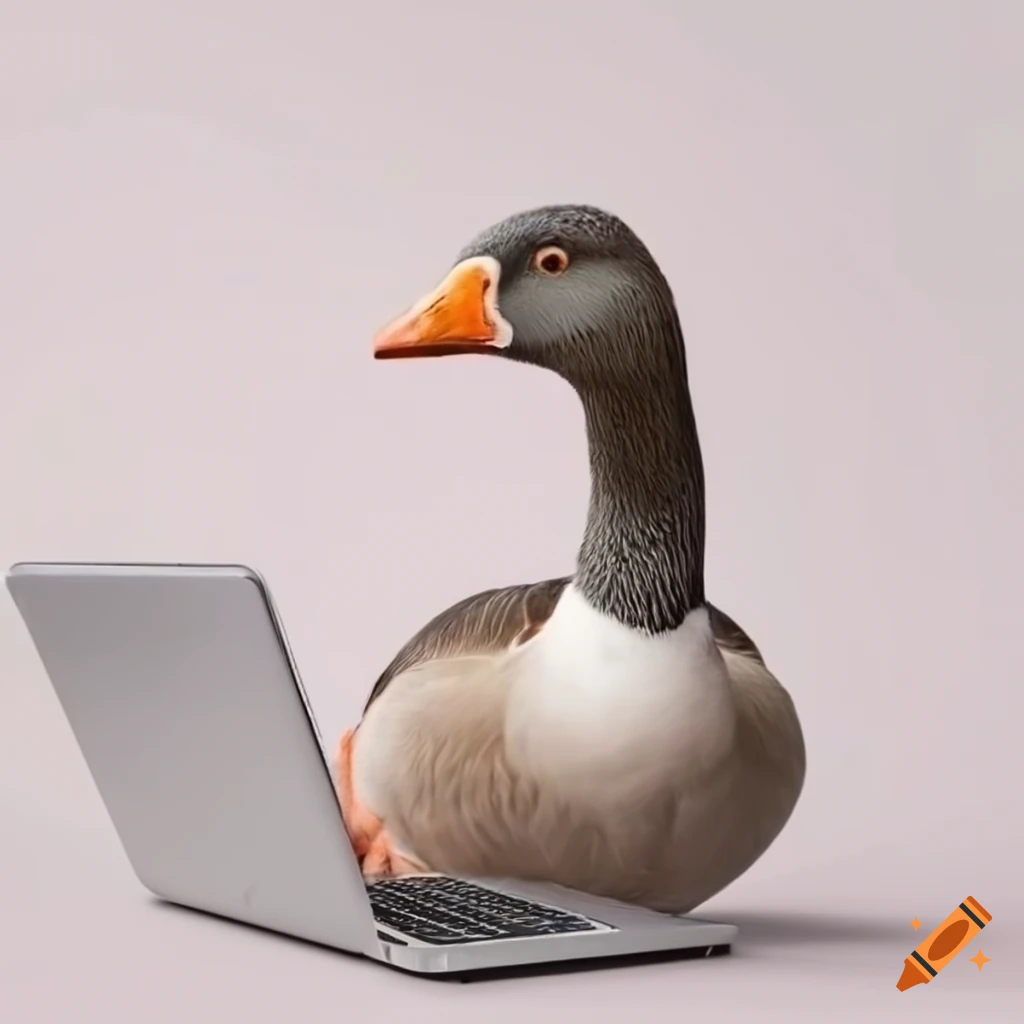 Goose sitting at laptop