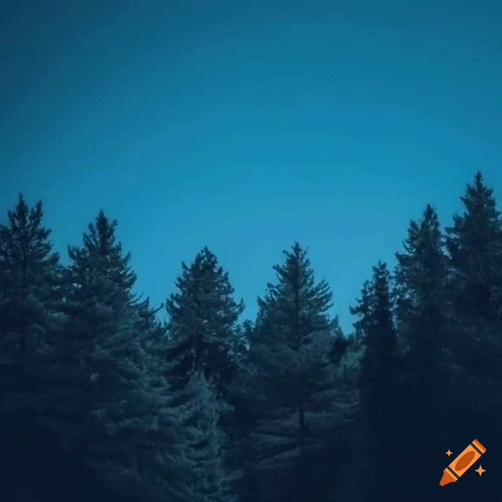 trees silhouetted against a dark blue sky