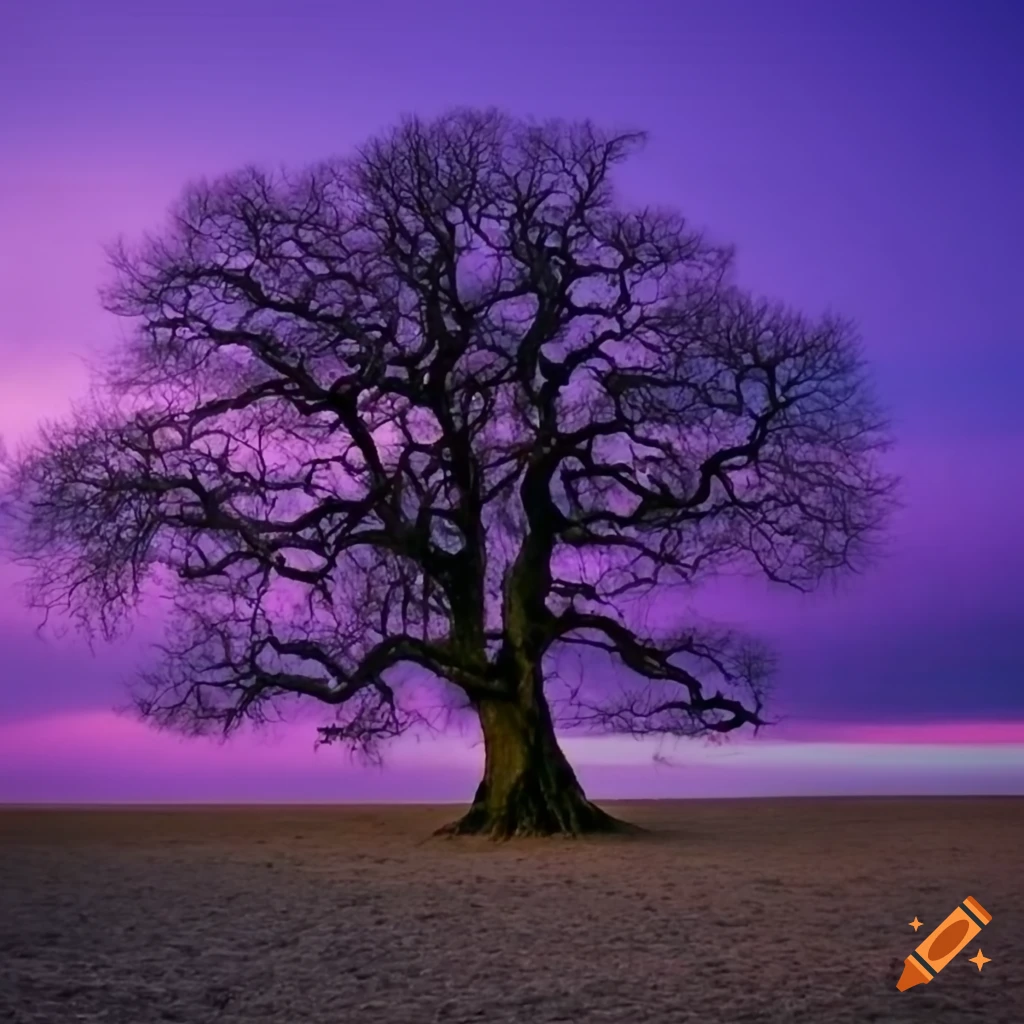 purple sunset sky behind a gnarled old oak tree
