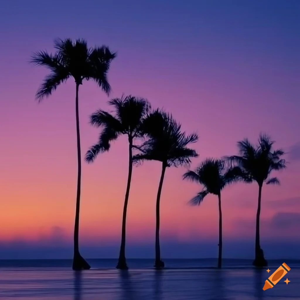 silhouette of palm trees against a colorful sunset sky