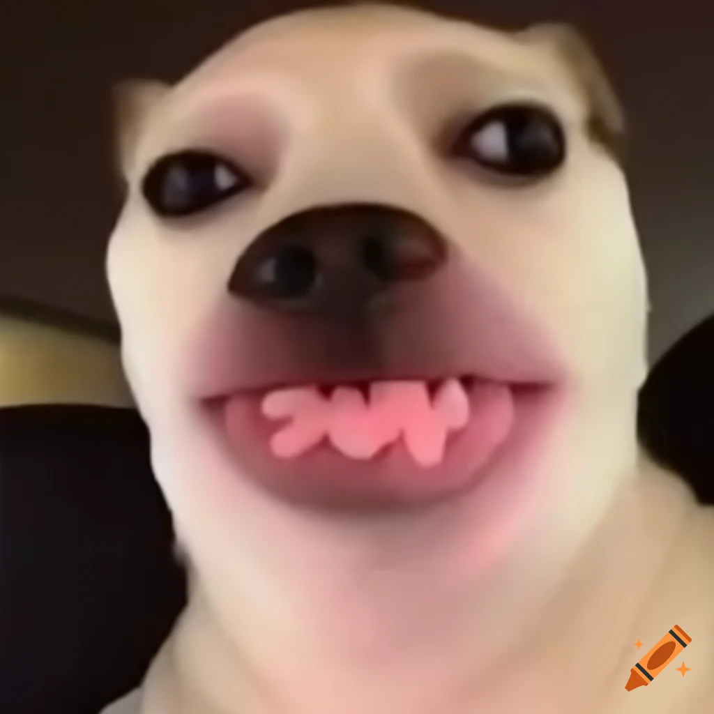Dog With Baddie Makeup Filter Meme On Craiyon