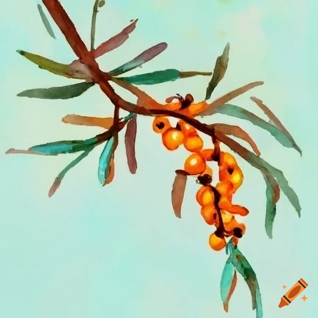 watercolor painting of sea-buckthorn branch with leaves and berries