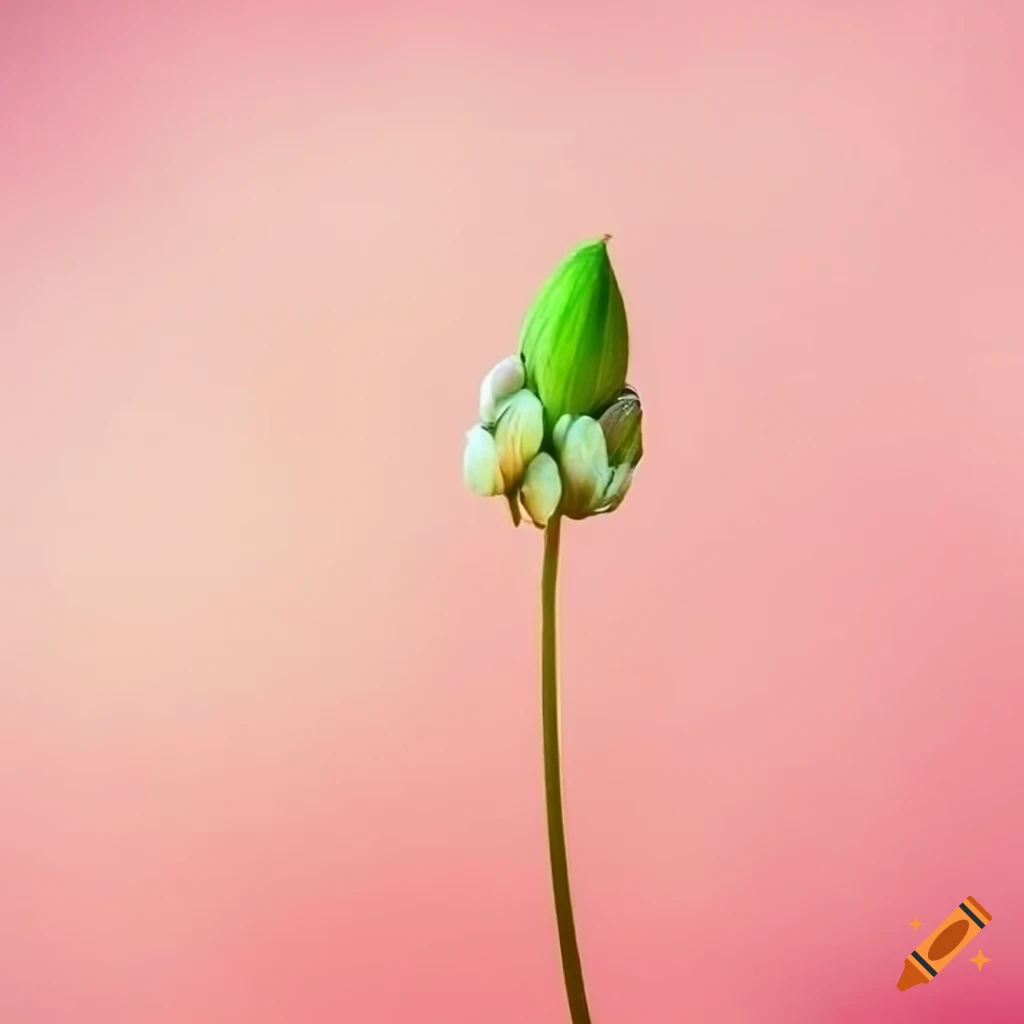 picture of a blooming flower in pastel colors