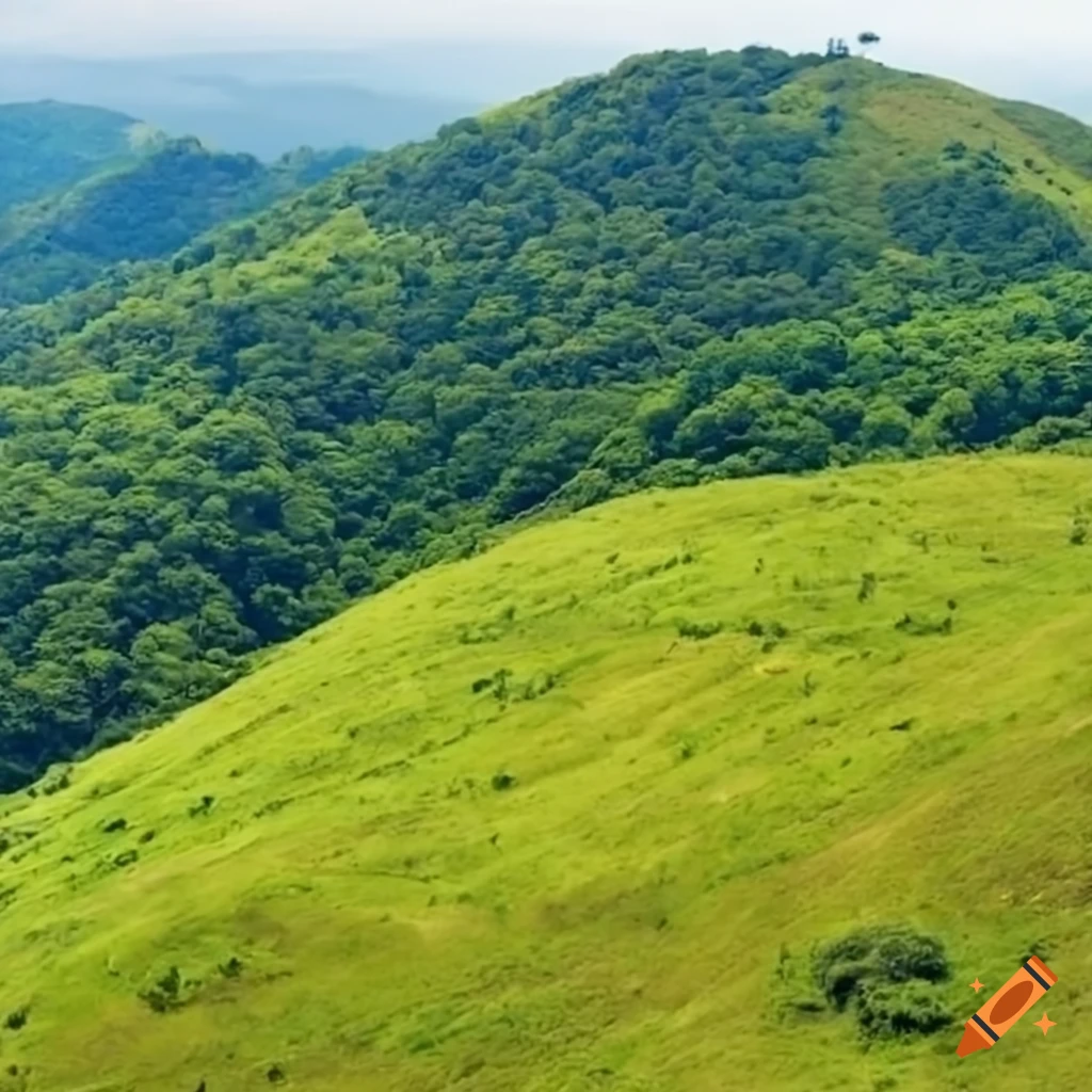 picture of a growing sapling near a beautiful hill