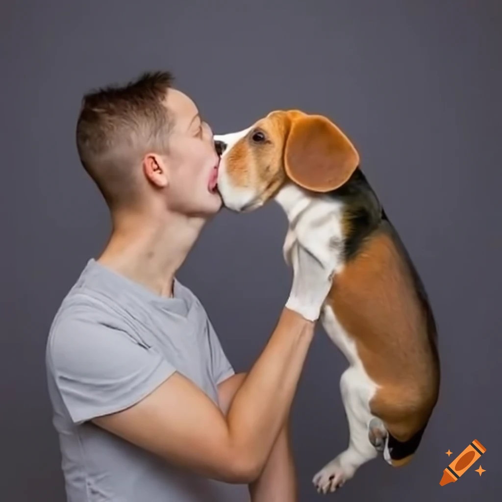 From a little guy to a full grown man! : r/beagle, image size:1024x1024