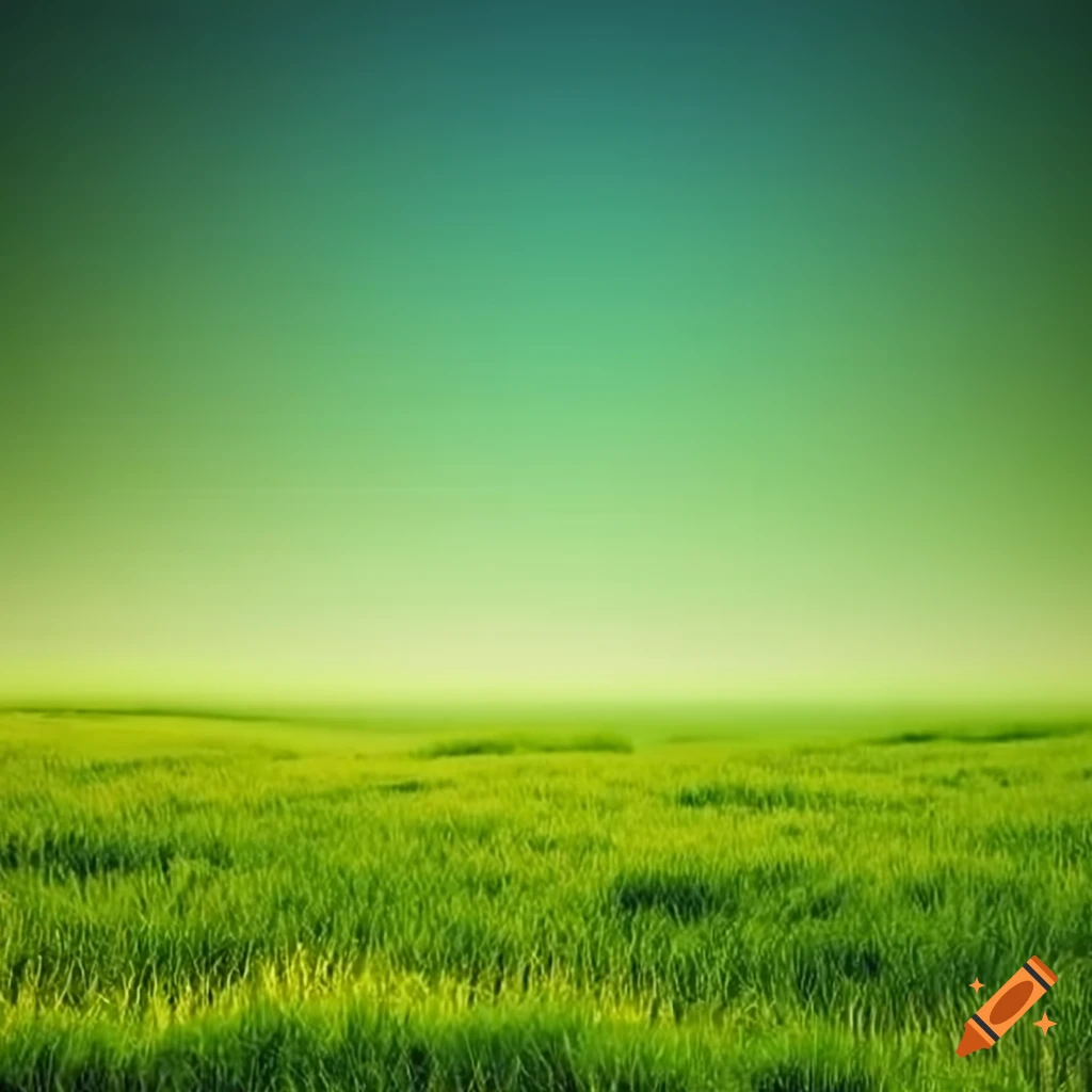 field of green grass