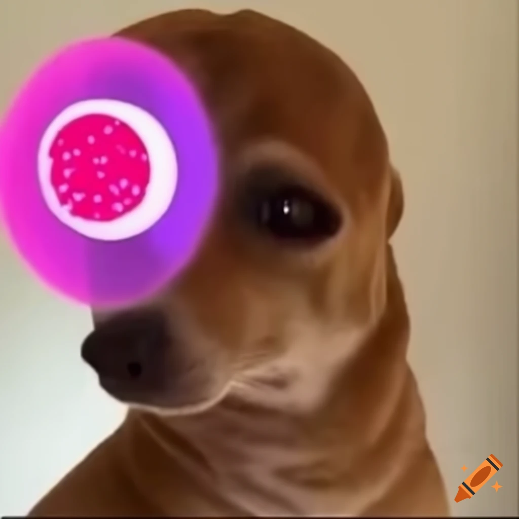 Cartoon dog Memes - Imgflip, image size:1024x1024