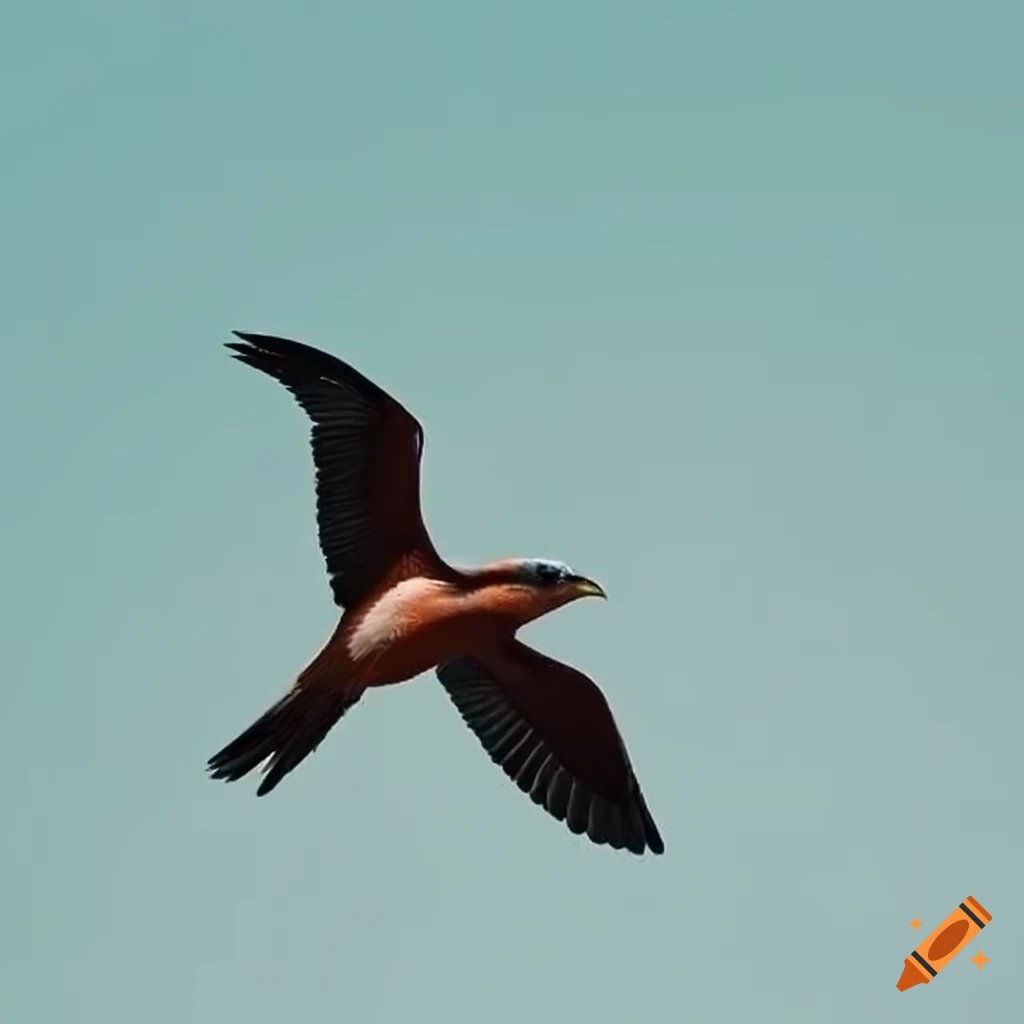 My Image 12