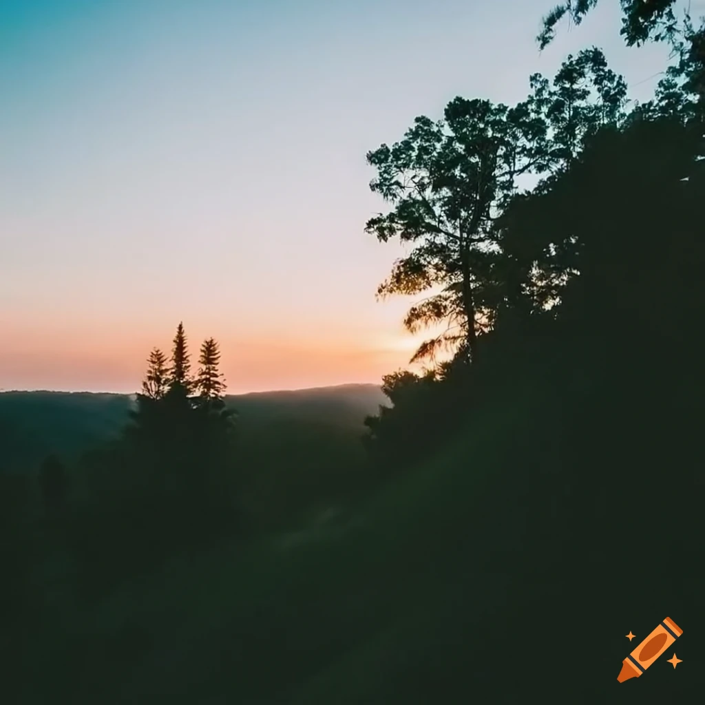 Professional analog aesthetic photography with soft lighting in 4K resolution
