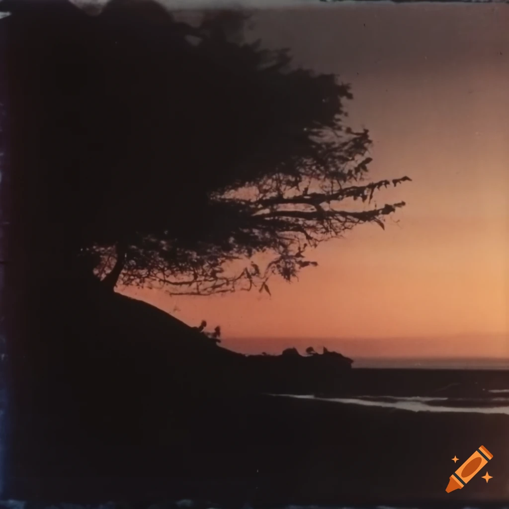 Film grainy scratched 70s polaroid of dark tree at sunset on seashore