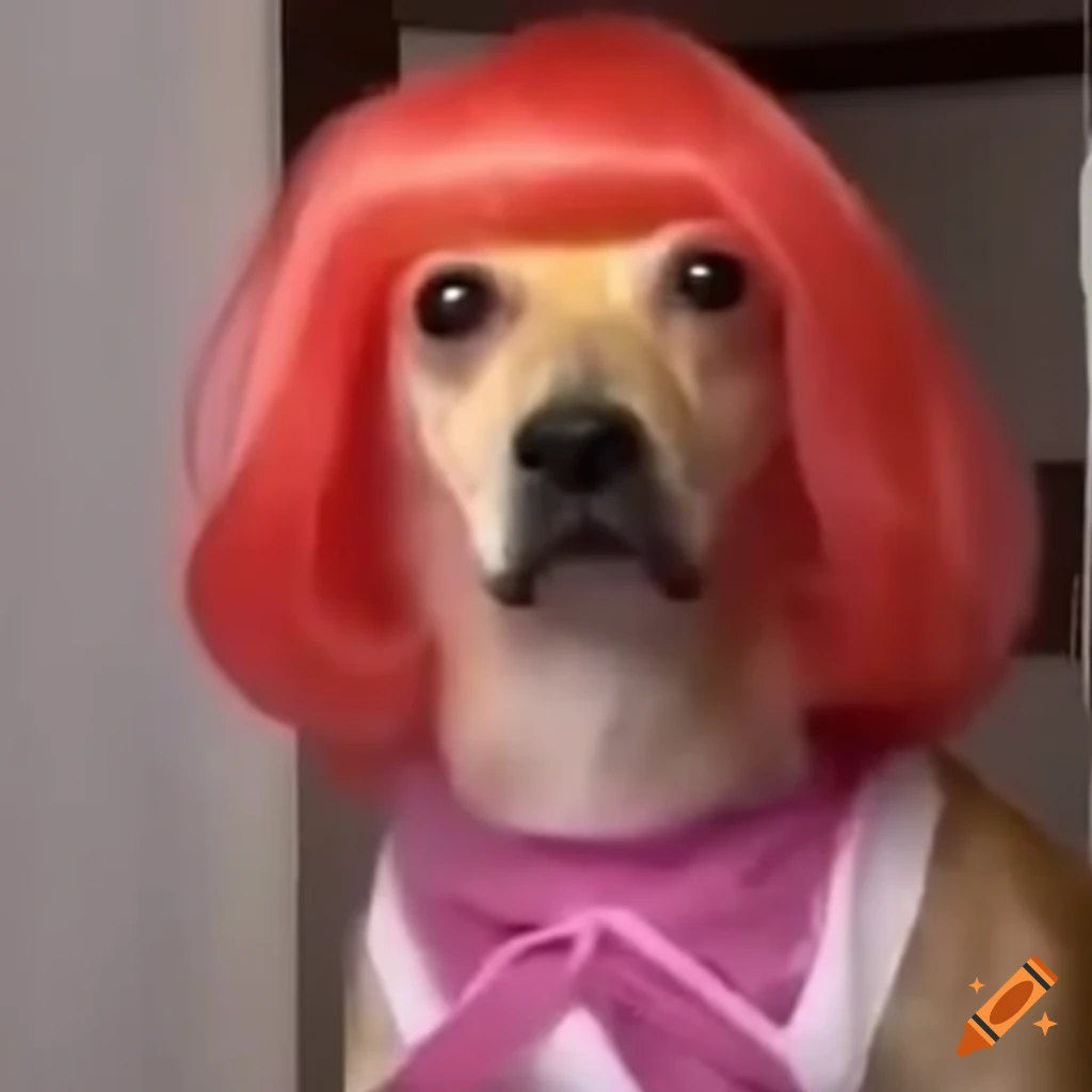 Pop diva dog with wig and dress meme on Craiyon