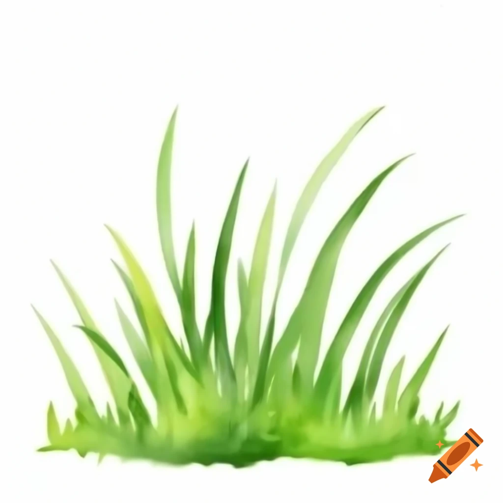 Cartoon grass illustration on white background, watercolor style