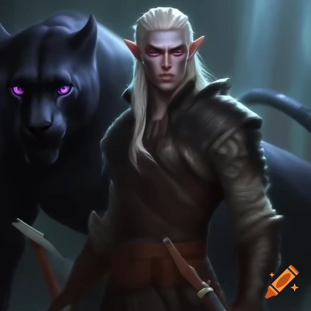 Male elf with white hair and scimitars accompanied by a black panther