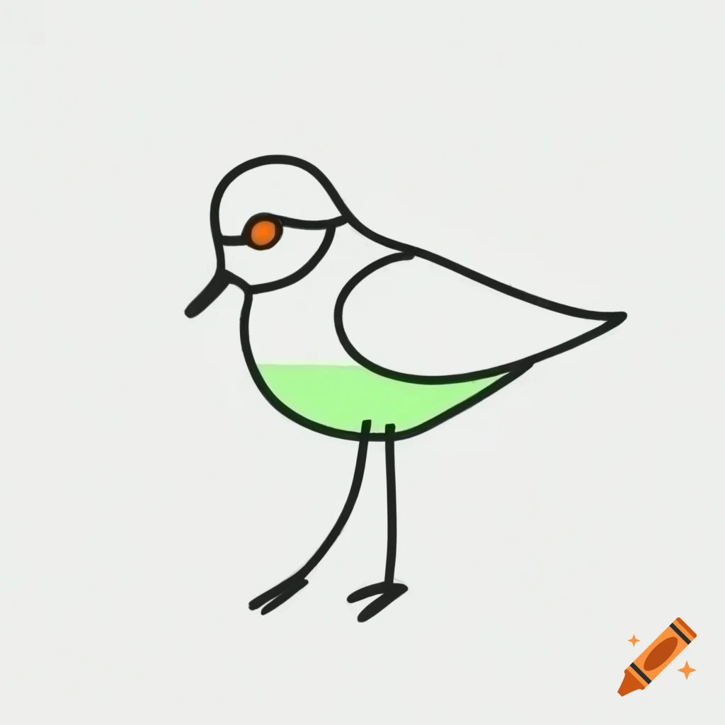 Minimalist black line drawing of plover bird with orange and green accents