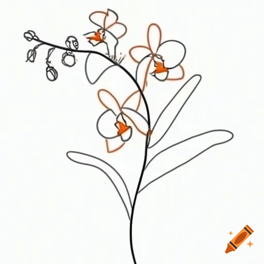 Minimalist black line drawing of orchid flowers in orange and green on white background