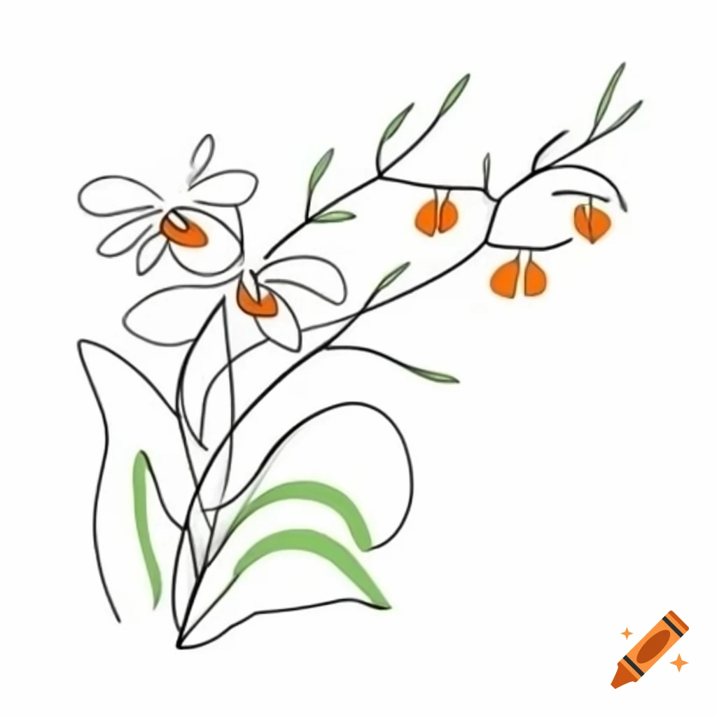 Minimalist black line drawing of orchids and leaves in orange and green