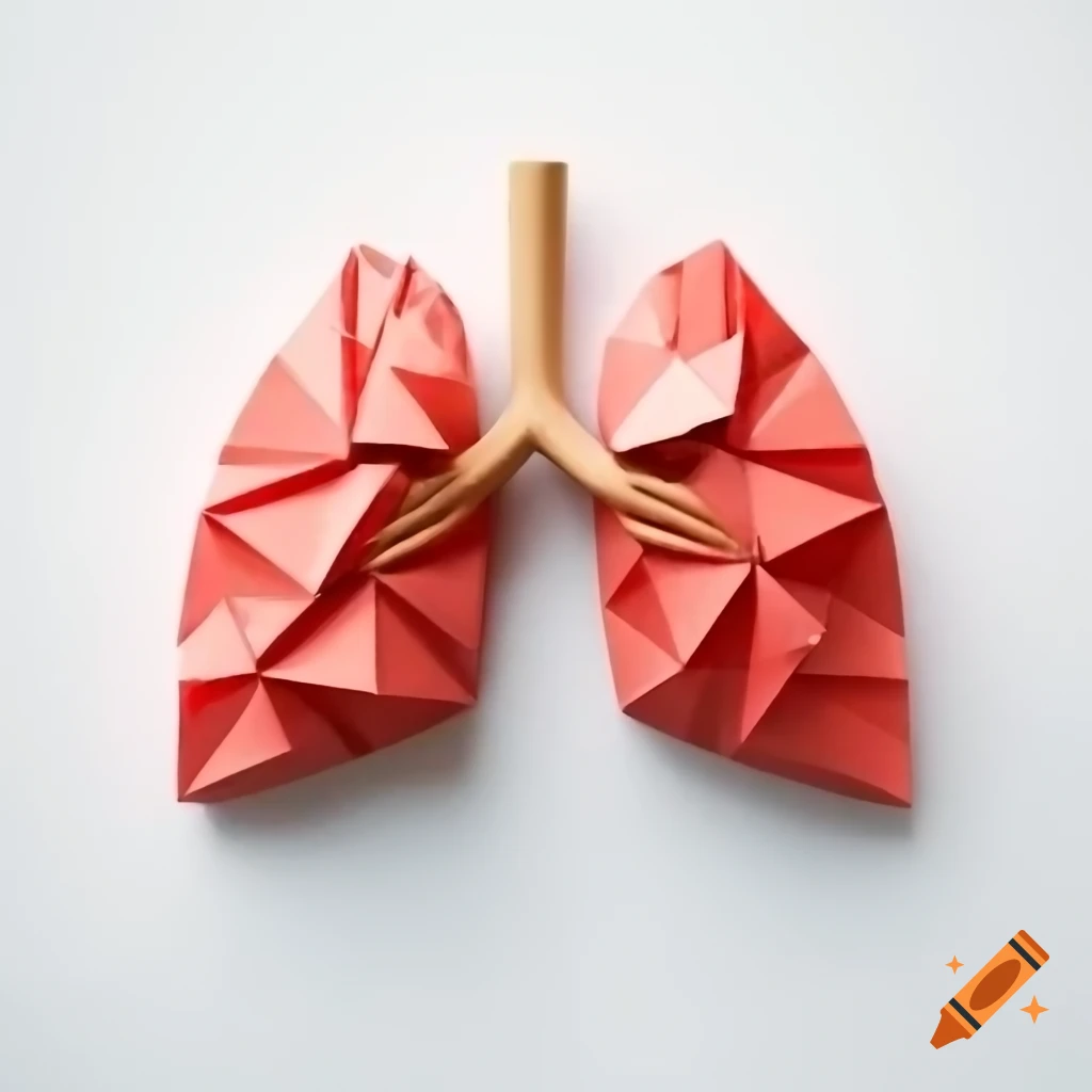 Origami lungs on white background