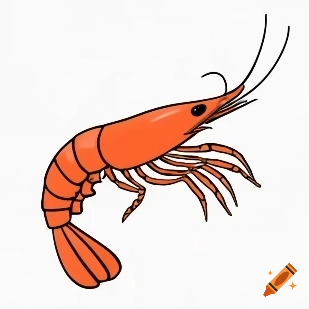 Side view of living shrimp