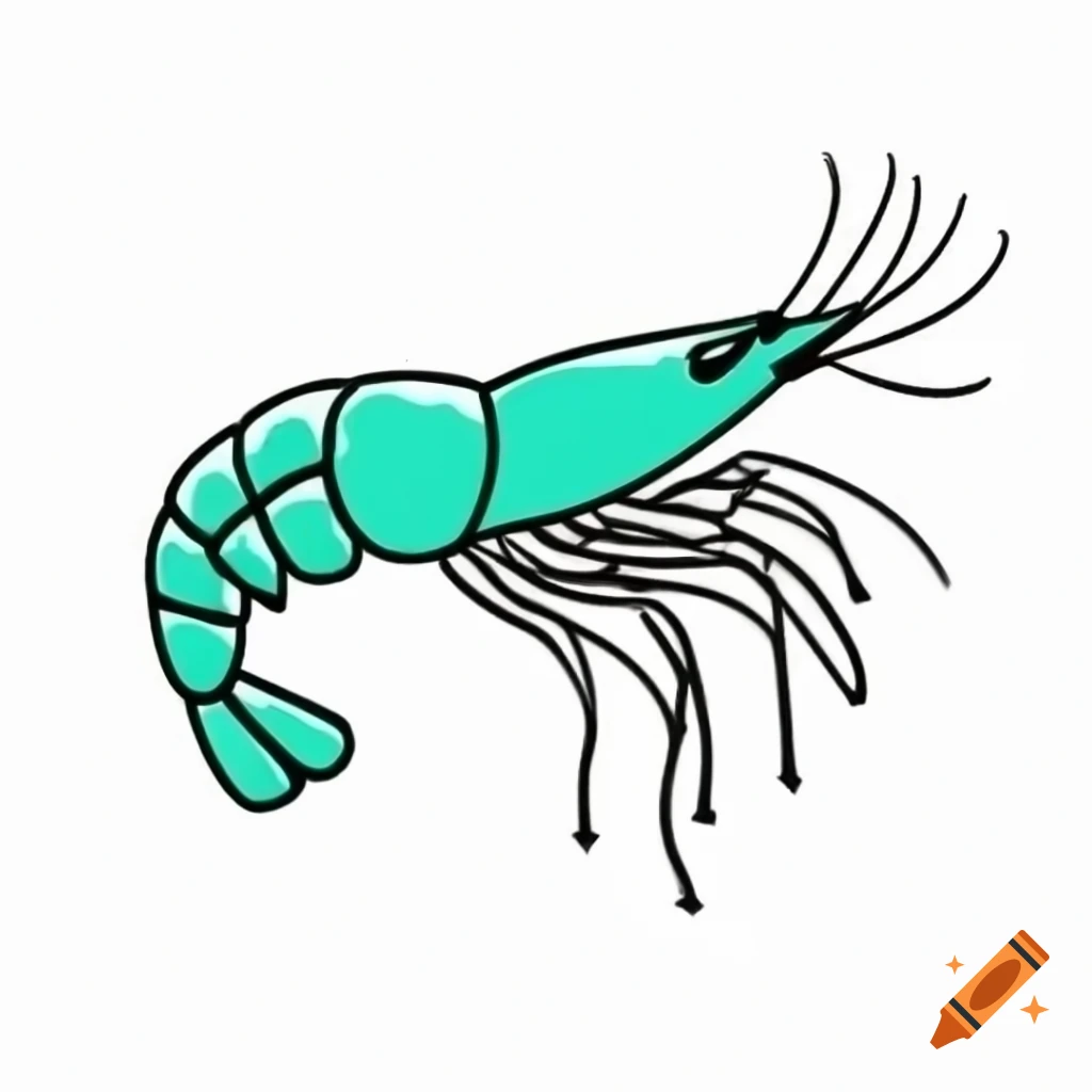 Illustration of a shrimp