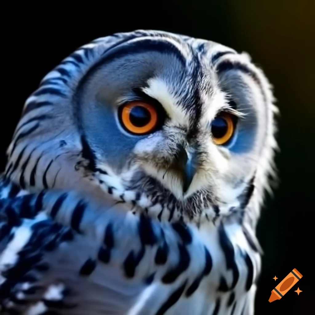 Sky blue owl illustration