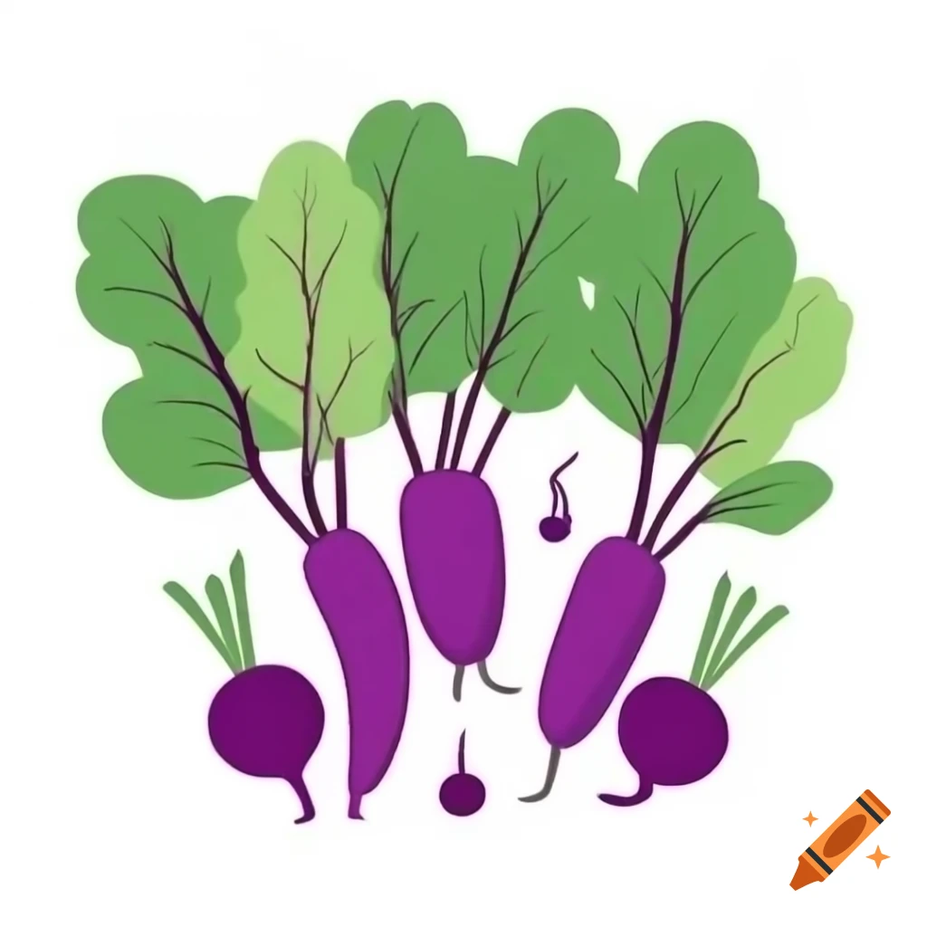 Variety of purple vegetables on display